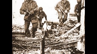 STEALING THE ENIGMA CODES (Commandos 2 Men Of Courage)