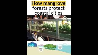 This simple model from the Dutch research Institute Deltares makes it very easy to understand how ma