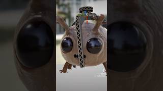 Day 10 & 11 - This grabber nightmare! #indiedev #gamedev #indiegame