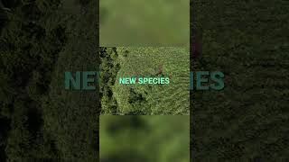Groundbreaking 🧬 DNA Tech Reveals Hidden Species! 🌍