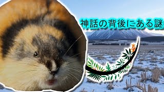 レミング | 動物ドキュメンタリー