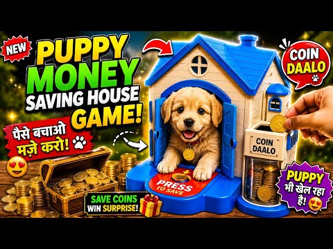 Coin House for My Little Puppy 🏡🐶