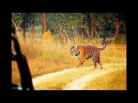 Golden Triangle Tour Packages - Travel Operators & Agent in India