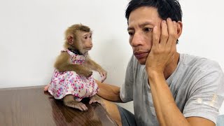 Tina was worried when she saw her father sad because he couldn't find baby monkey Xuka.