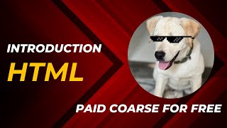 Introduction to HTML for Beginners | Doggu Code Full-Stack Web Dev Course (Part 1)