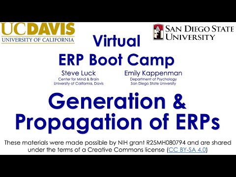 Generation 1-  From Source to Scalp