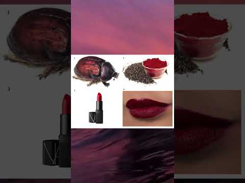 lipsticks made from insects #generalknowledge #amazingfacts #knowsomething