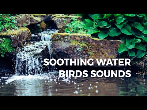 Relaxing Zen Music, Soothing Water and Birds Sounds for Deep Sleep