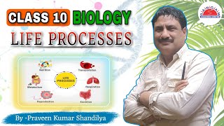 Life Processes // Class 10 Life Processes Biology // Part - 1 // Class 10th Science // Sangam CBSE