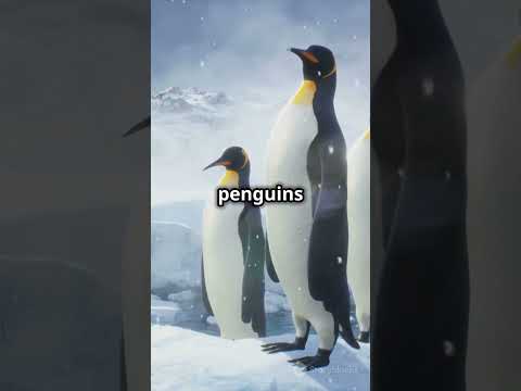 5 Incredible Penguin Facts You Didn’t Know!#youtubeshorts #funfacts #amazingfacts #educationalshorts