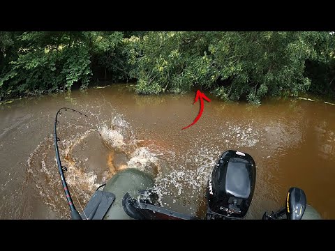 Catch a BIG CATFISH in a River Full of Obstacles!