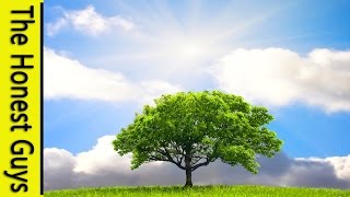 EPIC GUIDED MEDITATION: "Earth Grounding" (self-empowering visualisation)