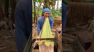 #shortsfeed #viral #informativeshorts #shortvideo