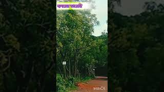 mis you💔😨 #nurmohammad #foryou#foryoumychanel