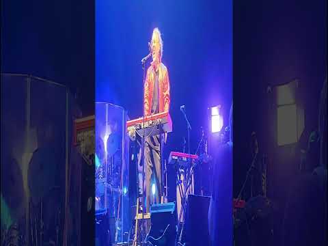 Eat it Weird Al Live Oak Pavilion