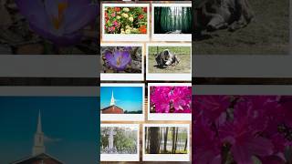 put us on your map! #nostalgia #edit #visit #gloaming #explorefeed wearethelaststoponeveryroute