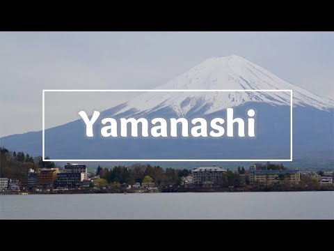 Yamanashi | Mount Fuji!