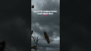 Quran ..❤️❤️💗#quran #quranquotes #islamic #islam #alisultan #alishaikh #motivation #quotes #india