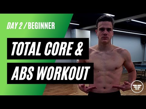 BEGINNER ABS WORKOUT DAY 2 // NO EQUIPMENT