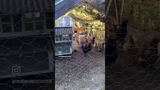 Days like these go by way too fast. Learning to cherish each day together.