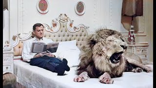 ♦Comedy Classics♦ 'Fluffy' (1965) Tony Randall, Shirley Jones