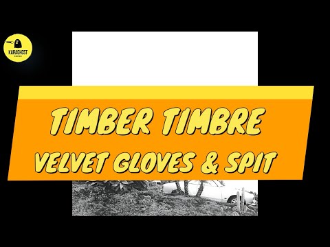 Timber Timbre - Velvet Gloves & Spit - Karaoke