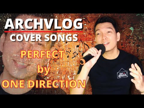 PERFECT - I MIGHT NEVER BE YOUR KNIGHT IN SHINING ARMOR by ARCHVLOG