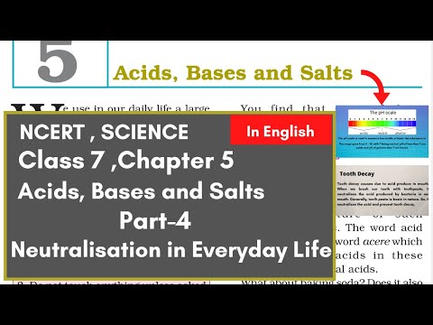 Neutralisation in Everyday Life -Class 7 Chapter 5- Acids, Bases and Salts (part-4)-Science NCERT