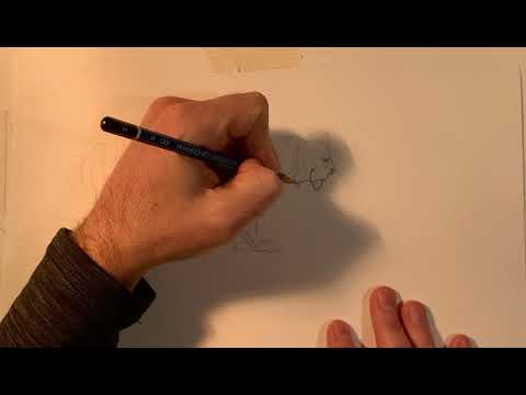 How to draw a tiger step by step drawing