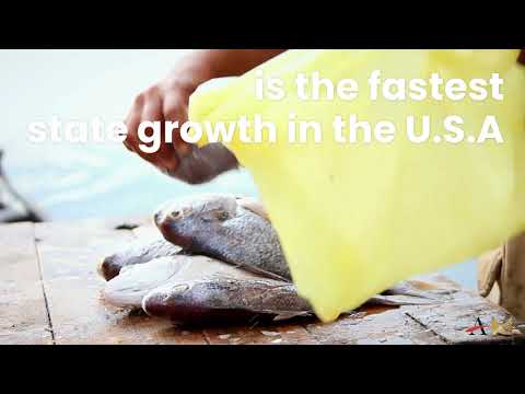Astor Realty Capital | Why Florida?