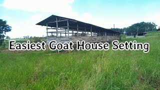 Cheap goats pen, Touring animal structures and farms