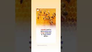 #knowledgefact #knowledge #gk #interestingfacts #studytalks #studyknowledge #generalfacts