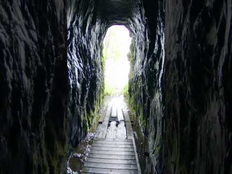 Unbelievable Nazi Atrocities You Didn't Know About