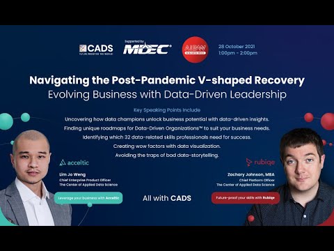 Navigating the Post-Pandemic V-shaped Recovery