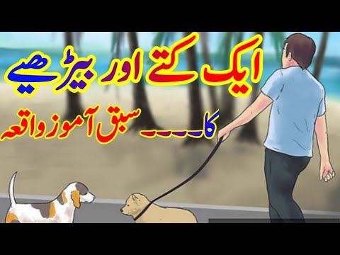 The Incident of a Dog And a Wolf || 1 Kutty Or Bheriye Ka Waqia ||ایک کتے اور بیڑھیے کا واقعہ
