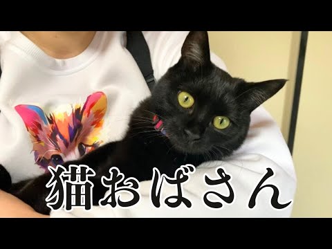 保護猫を飼い始めて人生が変わったアラフォー女