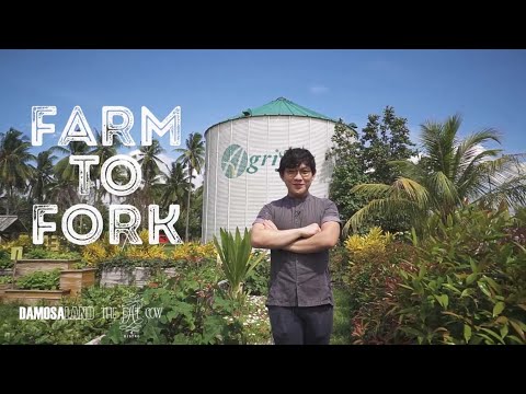 Farm to Fork with Chef Patrick Co - Episode 1