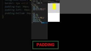 CSS Padding vs Margin (Diferencia entre padding vs Margin)