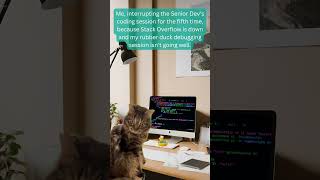 What's your funniest coding blunder that took you hours to find?
