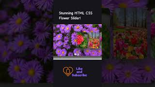 HTML & CSS দিয়ে বানান Magic Flower Slider 🌸 | Web Design Idea #shorts