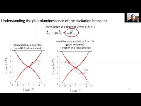 PIECZARKA Maciej, Tan’s Contact in exciton-polariton condensates