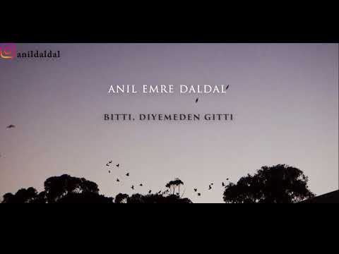 Anıl Emre Daldal - Bitti, Diyemeden  Gitti