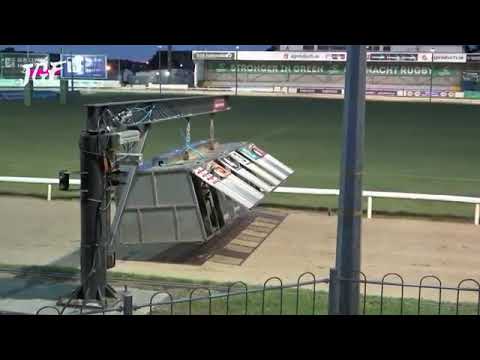 International Dogs race