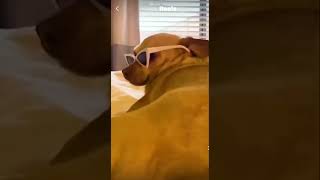 #shorts #viralvideo #youtubeshorts #howtosubscriberincrease #instagram