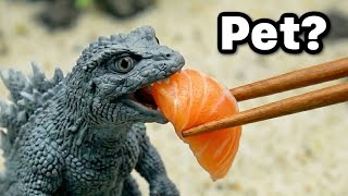 I Got a Pet Godzilla