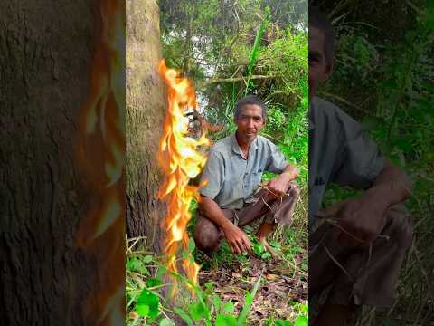 Survival skill trap😆 #primitivetechnology #bushcraftshelter #survival #trap #fyp