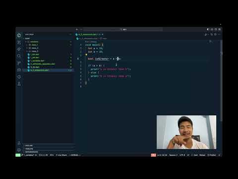 10.1 Dart Programming Class 4 If Else (Logic Building) (Part 1) (in Newari)