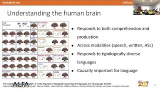 Workshop 4: Generating code that activates our brains