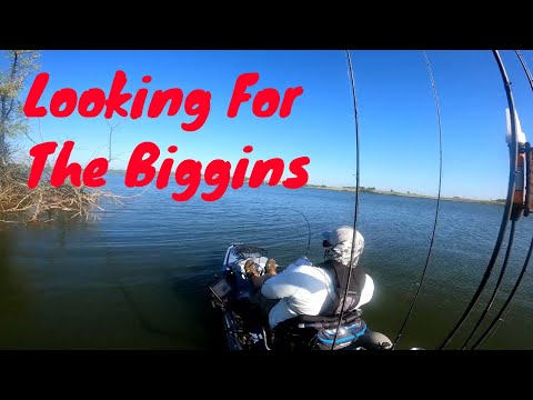 Banner Creek - Bass Fishing - 5th Place Finish - FHKA Tournament 8/28/21