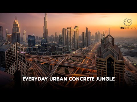 Everyday Urban Concrete Jungle